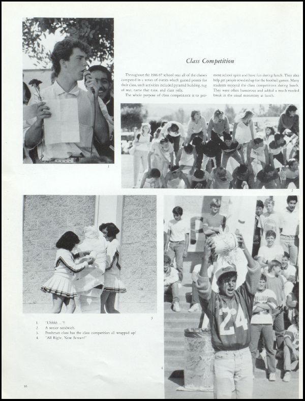 Class of 1987 Yearbook