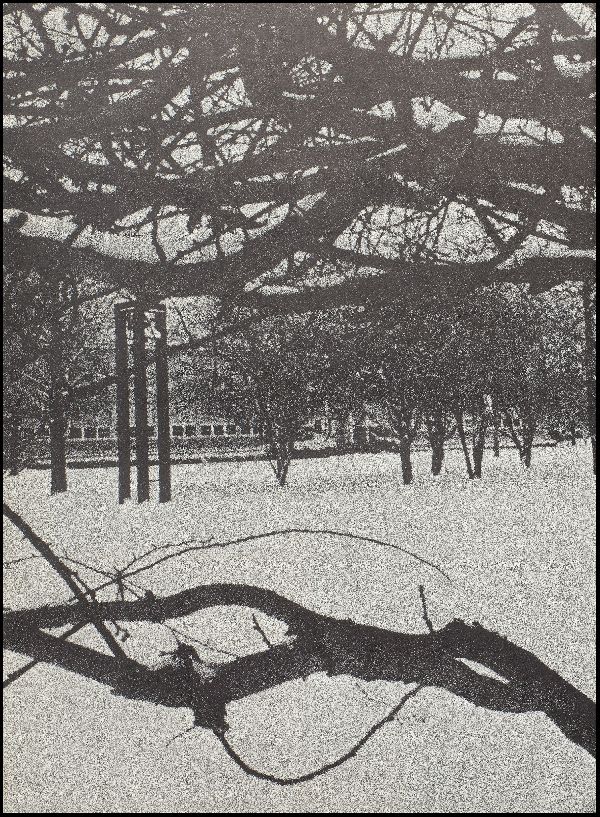 Class of 1974 Yearbook