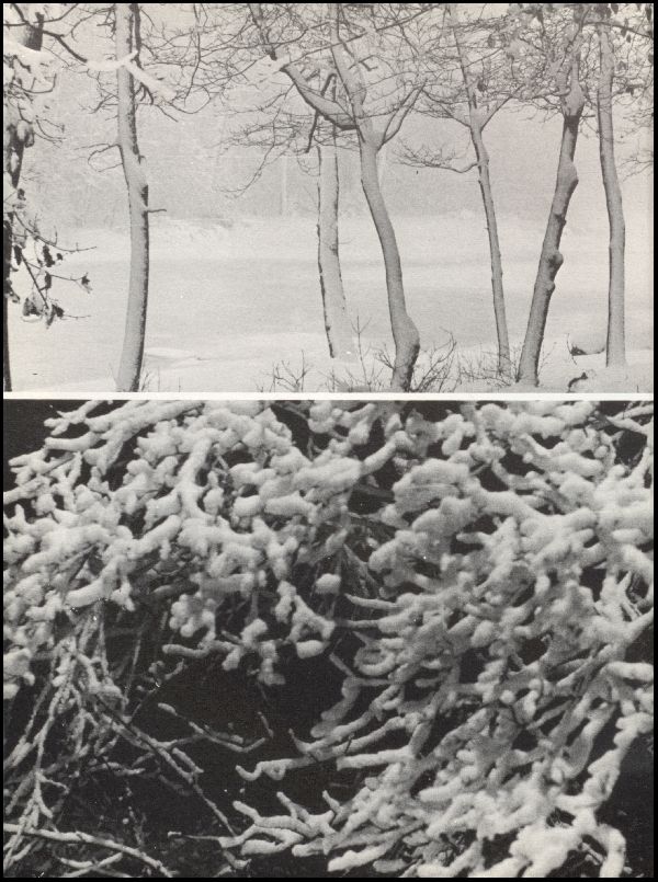 Class of 1970 Yearbook