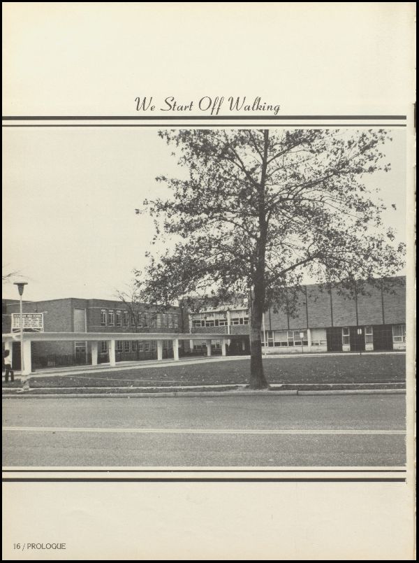 Class of 1982 Yearbook