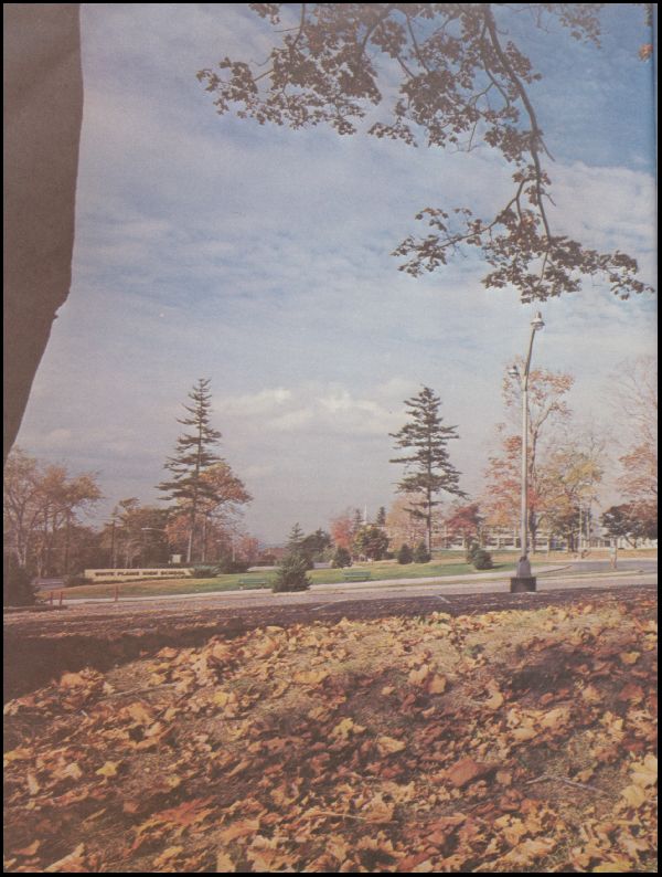 Class of 1971 Yearbook