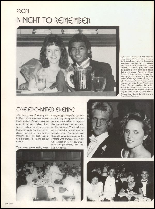 Class of 1987 Yearbook