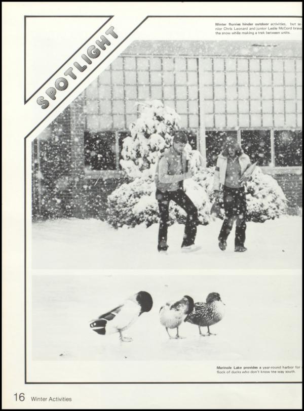 Class of 1981 Yearbook