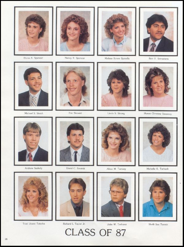 Class of 1987 Yearbook