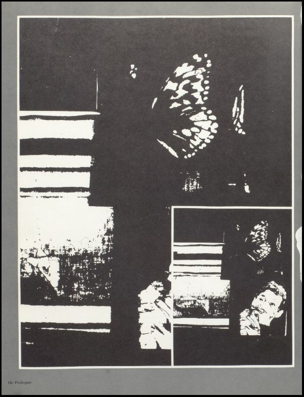 Class of 1977 Yearbook