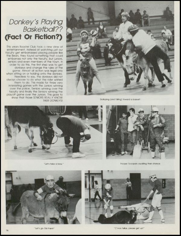 Class of 1987 Yearbook