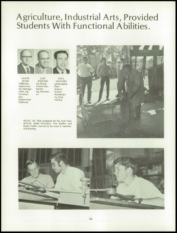 Class of 1971 Yearbook