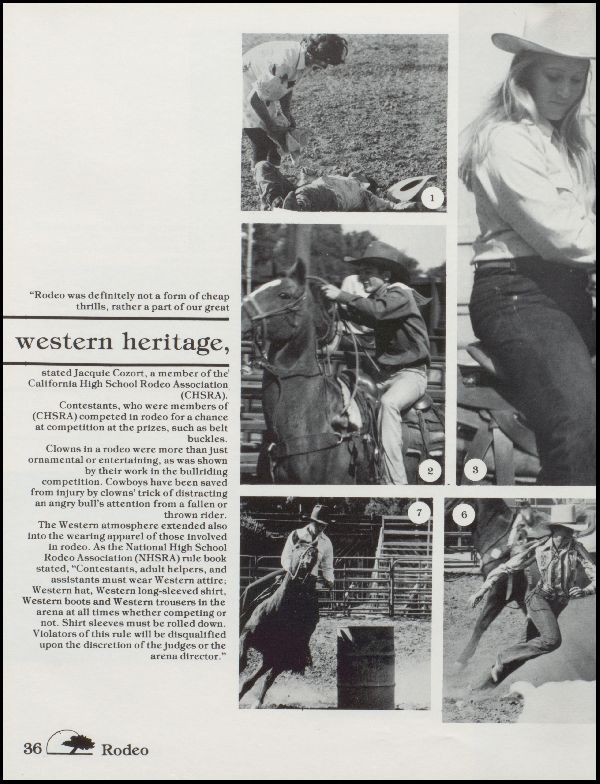 Class of 1976 Yearbook