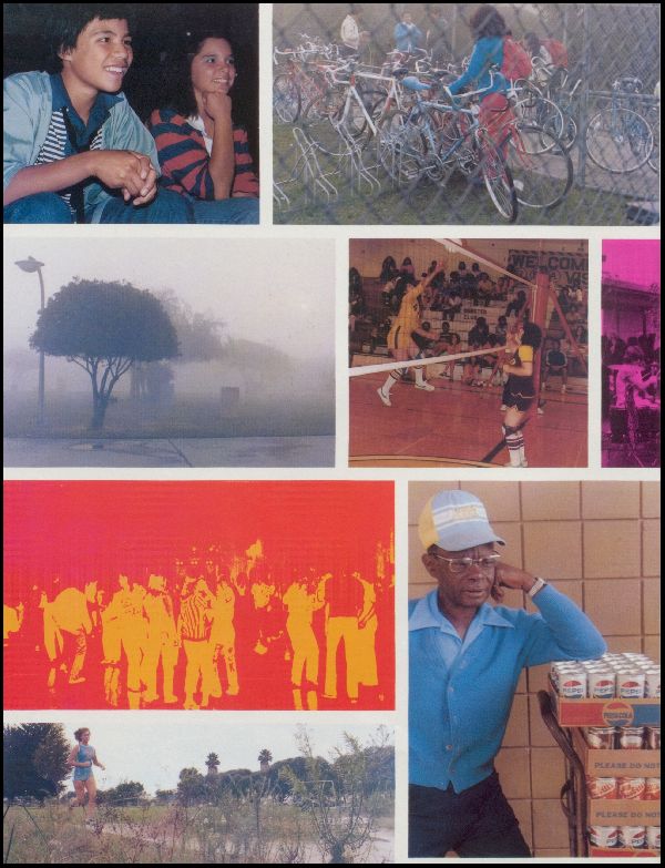 Class of 1981 Yearbook