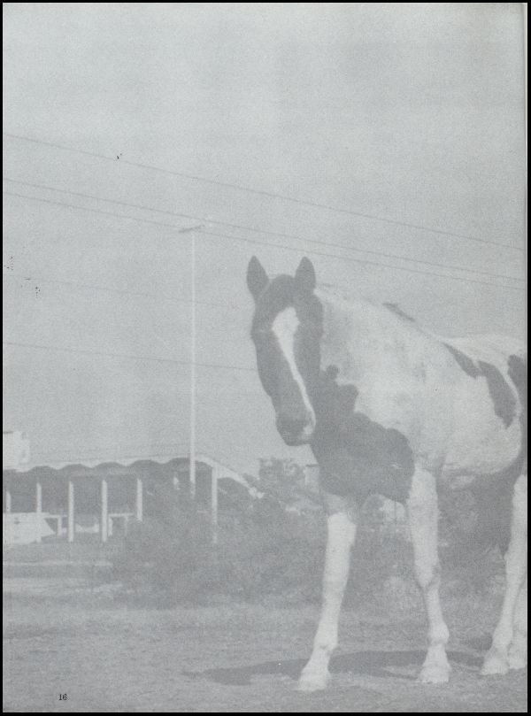 Class of 1978 Yearbook