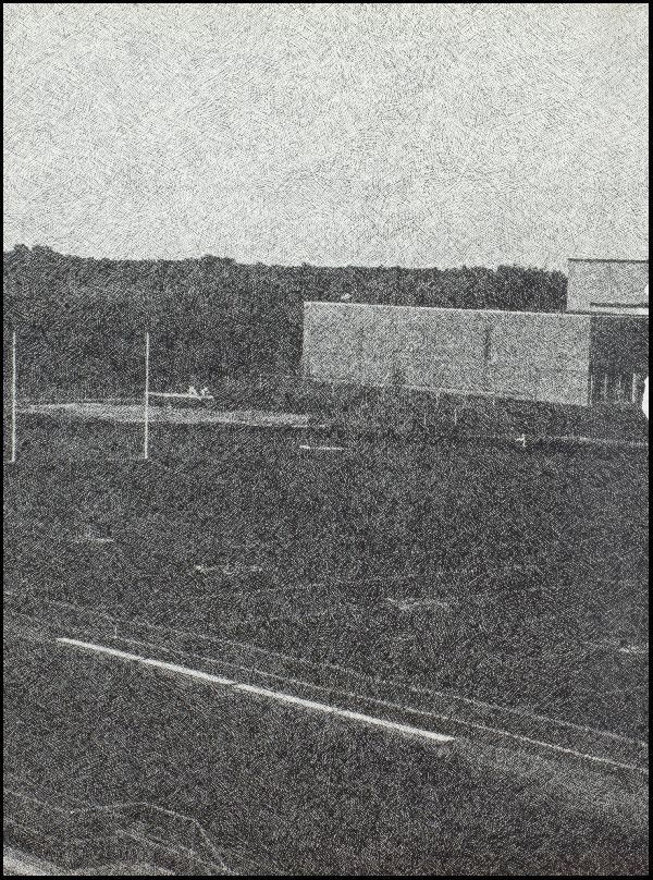 Class of 1979 Yearbook