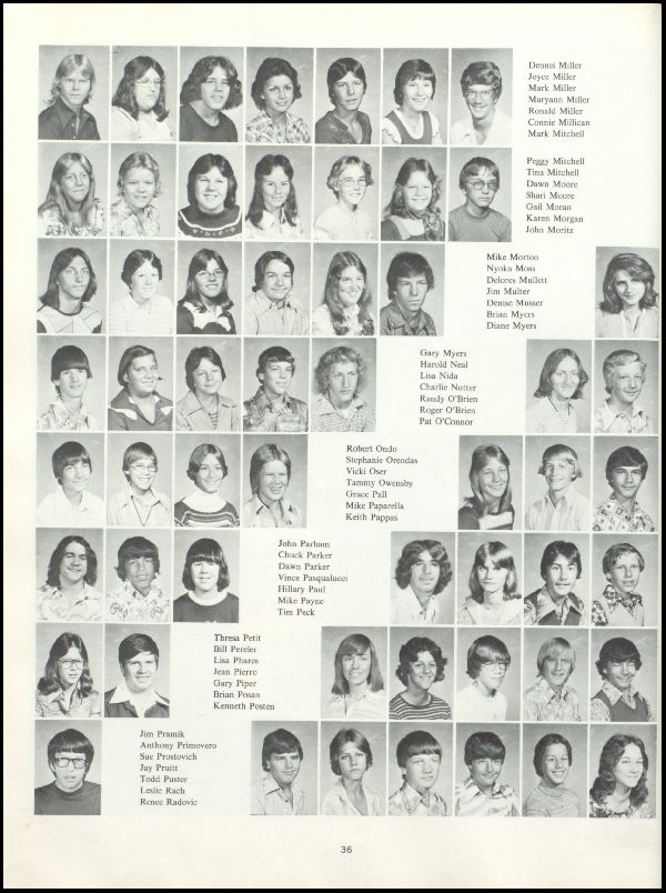 Class of 1977 Yearbook