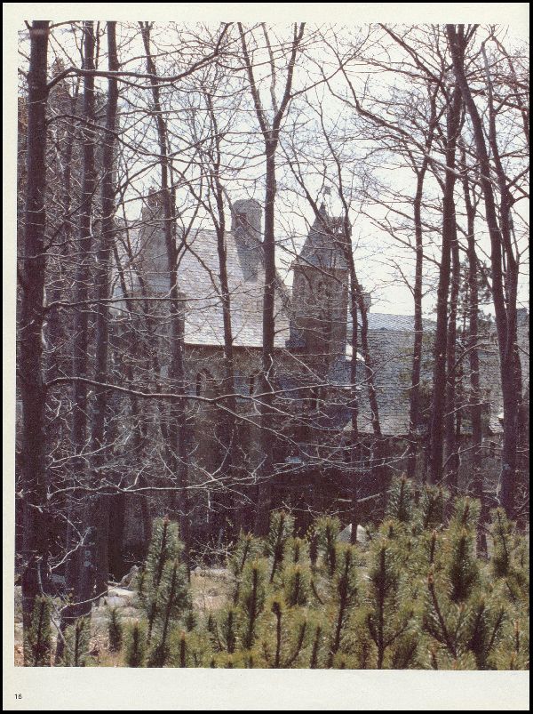 Class of 1984 Yearbook