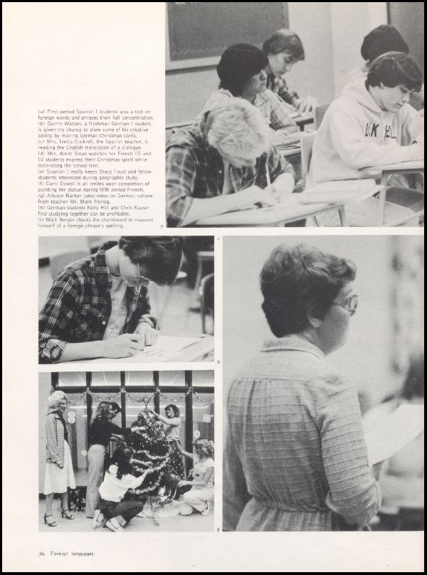 Class of 1981 Yearbook