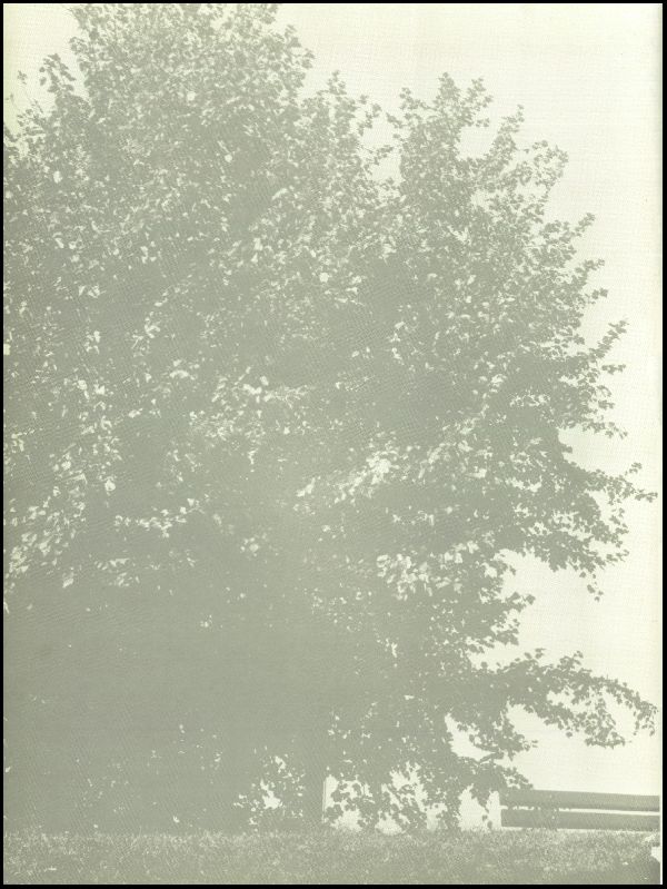 Class of 1971 Yearbook