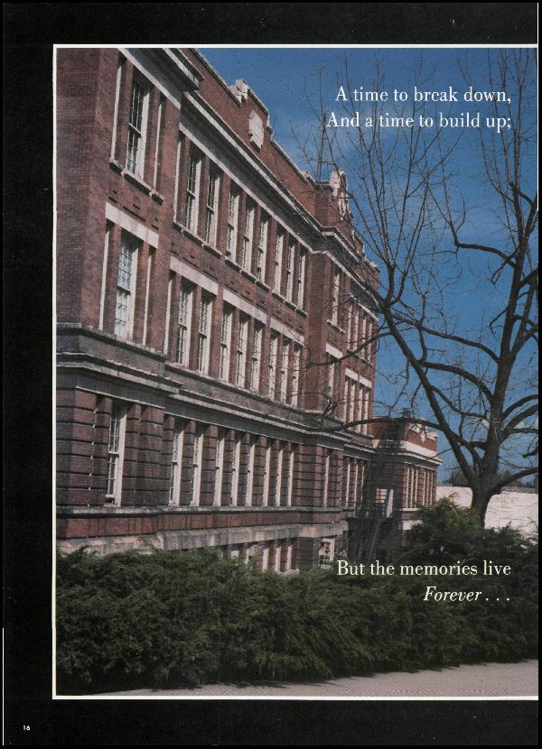 Class of 1981 Yearbook