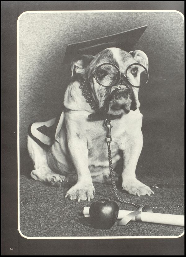 Class of 1975 Yearbook