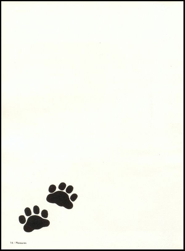Class of 1979 Yearbook