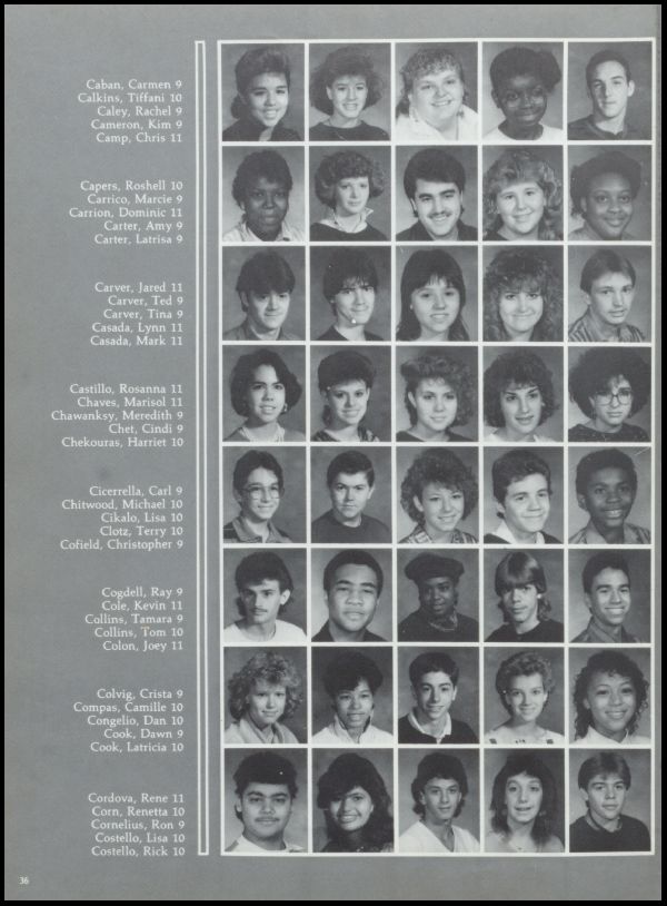 Class of 1987 Yearbook