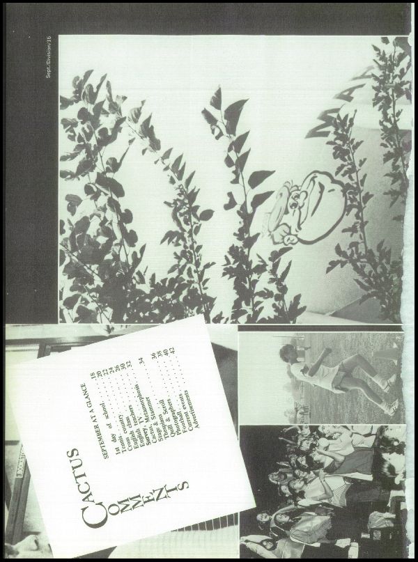 Class of 1972 Yearbook