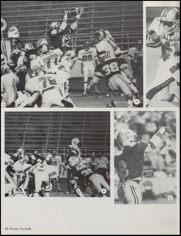 Class of 1987 Yearbook
