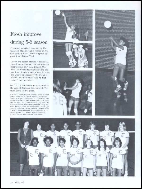 Class of 1981 Yearbook