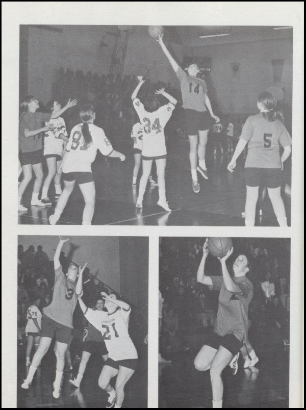 Class of 1971 Yearbook